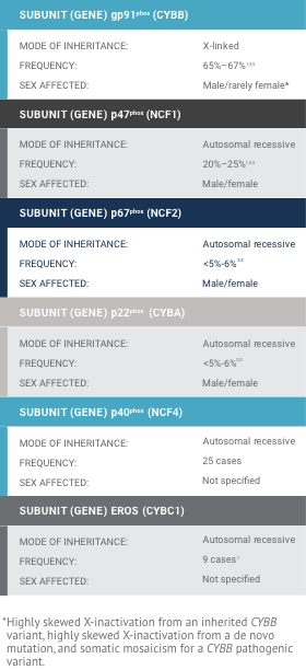 Freq NADPH Oxidase System Image